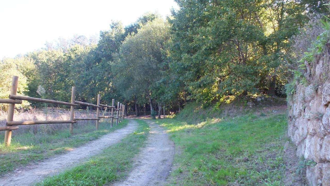 Holiday home Quinta Do Caritel